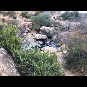 Meet your Posher, Wendy